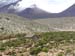 alpaka_altiplano15