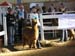 alpaka_show17