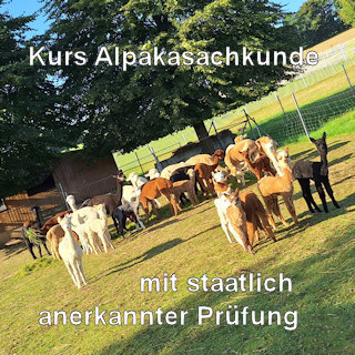 Kurs Alpakasachkunde mit staatlich anerkannter Prüfung