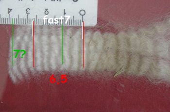 exakte Zählung de Crimps nicht immer möglich