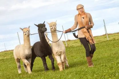 Alpaka Mützen und Schals aus eigener Produktion