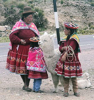 Peruanerin mit zwei Kindern und zwei Alpakas