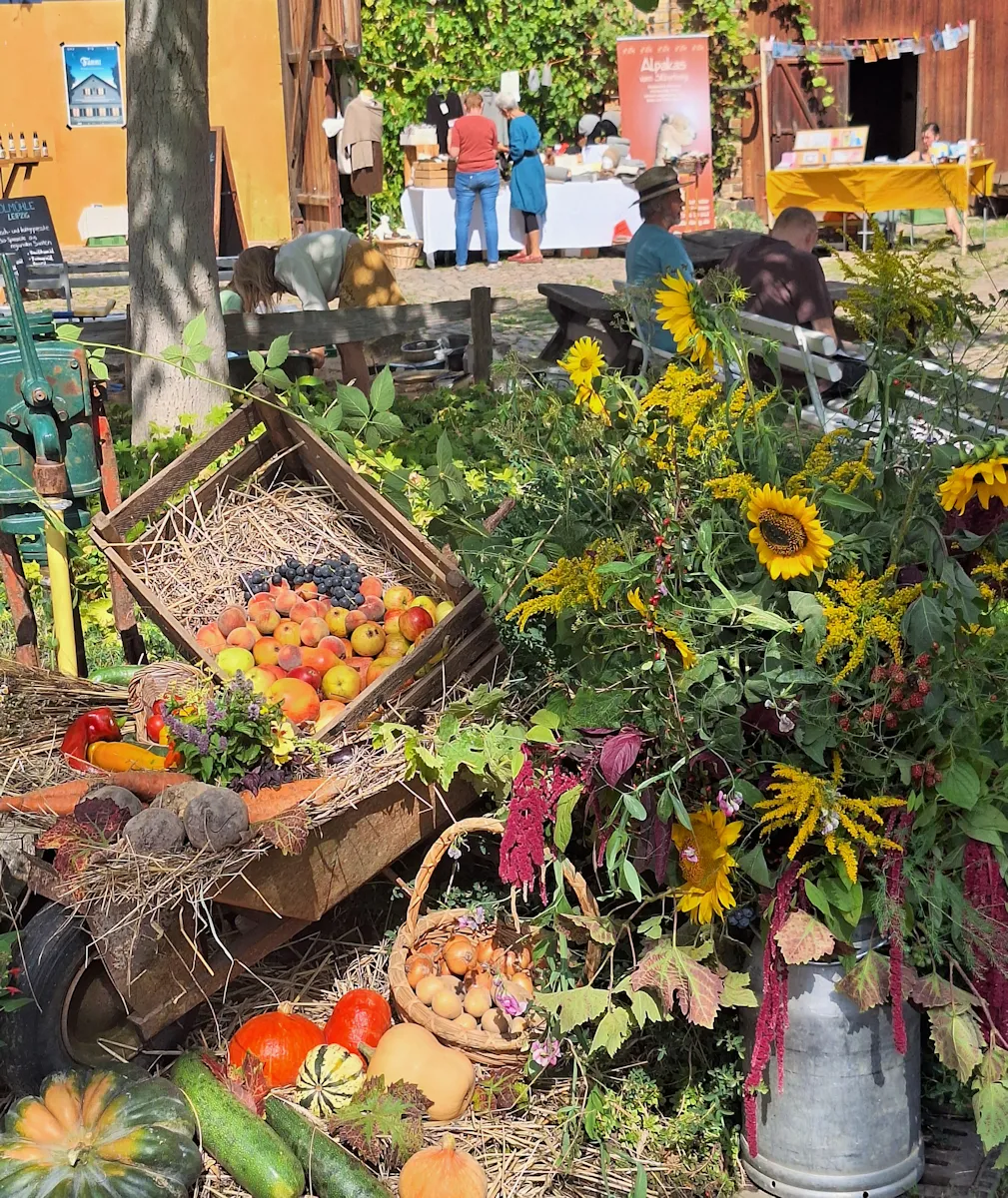 Hoffest auf dem Linke-Hof in Leipzig mit regionalen Produkten und herbstlicher Dekoration