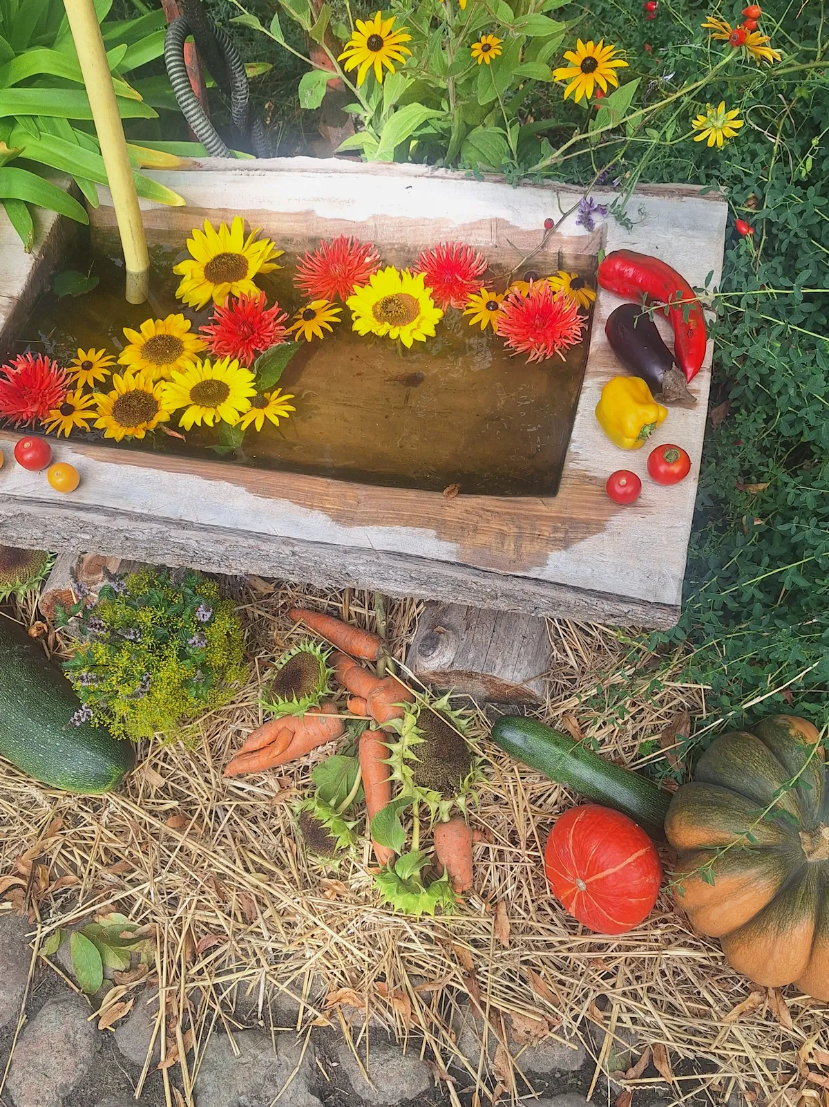 Spätsommer Blumen auf dem Linke-Hof